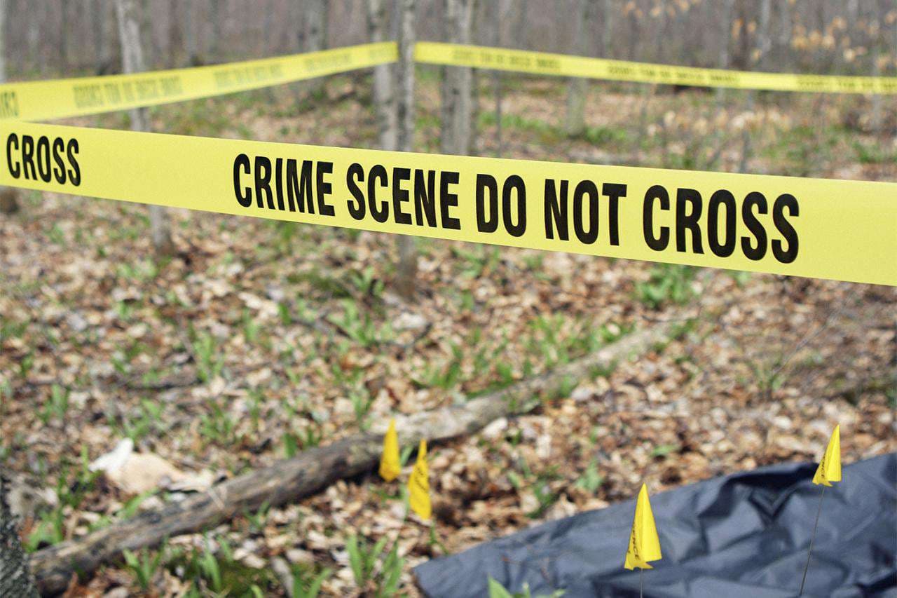 Serial Killers, 7 Psychological Phases and Cyber World
